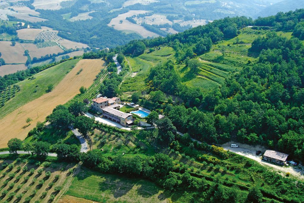 Le Torracce Agriturismo Olistico Valfabbrica Ngoại thất bức ảnh