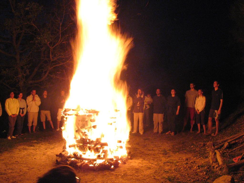 Le Torracce Agriturismo Olistico Valfabbrica Ngoại thất bức ảnh